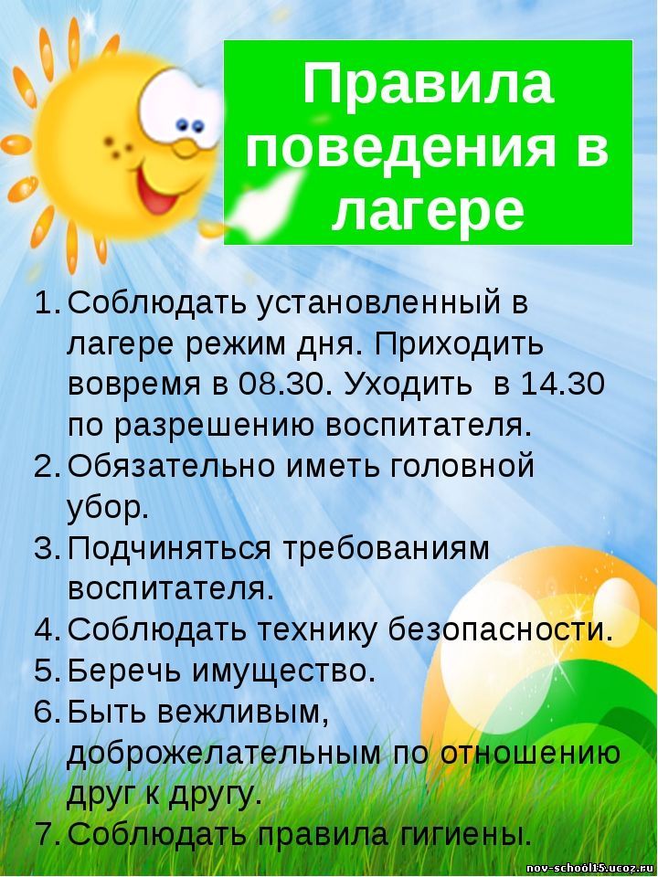 Отдых и оздоровление учащихся.